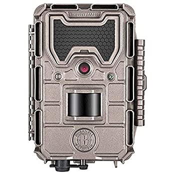 【中古】【輸入品・未使用】20MP AGRSSR NO GLOW TAN|スカイマーケットプラス