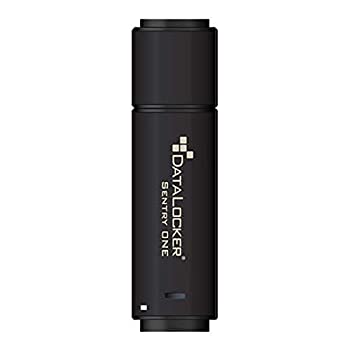 【中古】【インポート品・未当て嵌める】???????Sentry???????????????1???64?GB???USB 3.1???256?- bit AES???TAA??