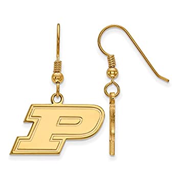 【中古】【輸入品・未使用】Purdue Small ( 1?/ 2インチ)ダングルイヤリングワイヤ(ゴールドメッキ)
