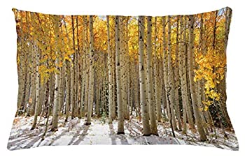 【中古】【インポート品・未当て嵌める】lunarableフォレストスロー枕座布団押しかぶせる、Aspen Trees Warmの葉インチ Snow Forest インチ Early Winter Time見晴らし、かざり付けるまっ四角声遣い枕入れもの