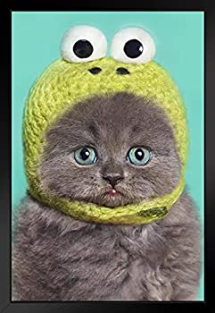 【中古】【輸入品・未使用】Funny Gray Kitten In Green Frog Hatフォトフレーム付きポスター12?x 18?by proframes 18x12 inches