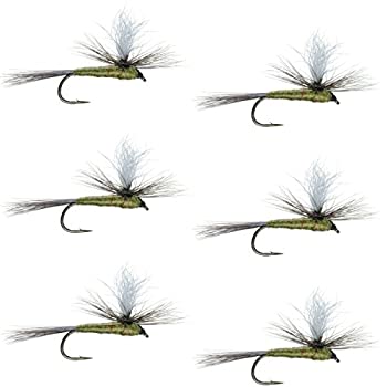 【中古】【輸入品・未使用】The Fly Fishing Place Parachute Blue Winged Olive BWO Classic Trout Dry Fly Fishing Flies - Set of 6 Flies Size 14|スカイマーケットプラス