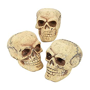 【中古】【輸入品・未使用】Fun Express - 頭蓋骨 (3個) ハロウィーン用 - ホームデコレーション - 置物 - モールド - ハロウィン - 3個