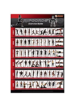 【中古】【輸入品・未使用】Ripcords Exercise Guide Poster | Resistance Band Workout Chart