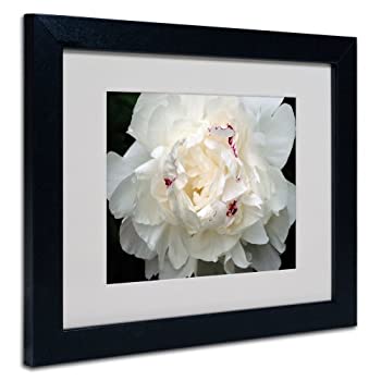 【中古】【輸入品・未使用】Trademark Fine Art Kurt Shaffer Perfect Peony フレーム付き マットキャンバスアート ブラック 11 by 14-Inch KS1-B1114MF｜スカイマーケットプラス