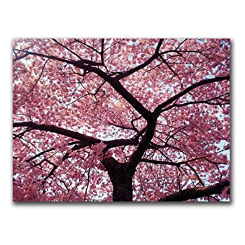 【中古】【輸入品・未使用】CATeyes Trademark Fine Art Cherry Tree キャンバス ウォールアート 18 by 24-Inch MZ003-C1824GG|スカイマーケットプラス
