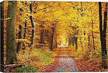 【中古】【輸入品・未使用】Signwin-Canvas Wall Art-Sunshine in The Forest キャンバスプリント ホームアートワーク リビングルームや寝室の装飾 24x36｜スカイマーケットプラス