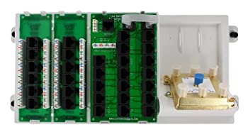 【中古】【輸入品・未使用】Leviton 47606-aso配布パネル