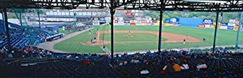 【中古】【輸入品・未使用】Bill Meyer Stadium AA サザンリーグ グリーンビル サウスカロライナ州 ポスタープリント (27 x 9)