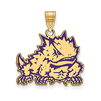 【中古】【輸入品・未使用】TCU Large (3?/ 4インチ) エナメルペンダント(ゴールドメッキ)