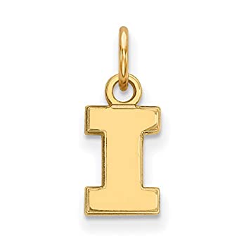 【中古】【輸入品・未使用】イリノイExtra Small ( 3?/ 8インチ)ペンダント( 14?Kイエローゴールド)