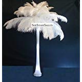 【中古】【輸入品・未使用】Special 7 Day Sale-Ostrich Wholesale Bulk 10/14%ダブルクォーテ% long~Bleach White DELUXE Tail Feathers- 100 in package. by Six Star Sales [画像
