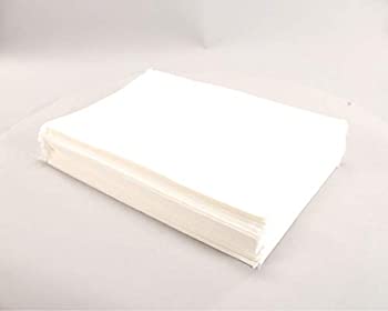 【中古】【輸入品・未使用】BKI FI0007 13 X 20.5 Filters (Package of 100) Replacement part by Prtst [並行輸入品]