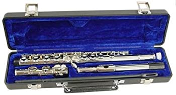 【中古】【輸入品・未使用】シグネチャーシリーズ2810N フルート(16ホール) Hisonic社 silver【並行輸入】|スカイマーケットプラス