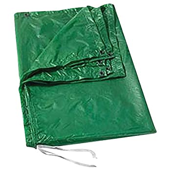 【中古】【インポート品・未当てはめる】春分超軽さナイロンタープ（大いさを選りすぐるしてください）?? － 緑であること１０Ｘ１２