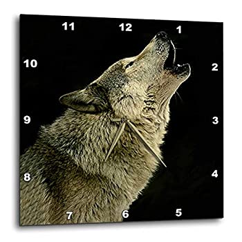 【中古】【輸入品・未使用】3dRose dpp_724_1 Timber Wolf 壁掛け時計 10 x 10インチ