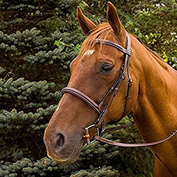 【中古】【輸入品・未使用】HDR Pro Stress Freeファンシーパッド入りBridle 35,012円