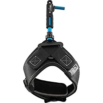 【中古】【輸入品・未使用】B3 キングリリース。｜スカイマーケットプラス