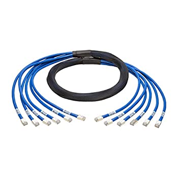 【中古】【輸入品・未使用】Tripp Lite 10ft Augmented Cat6 Cat6a Pre-Terminated Copper Trunk Bundle 6xRJ45 M/M 10' - Network cable - RJ-45 (M) to RJ-45 (M) - 10 ft
