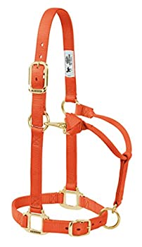 【中古】【輸入品・未使用】(2.5cm Average Horse%ｶﾝﾏ% Orange) - Weaver Leather Adjustable Horse Halter｜スカイマーケットプラス