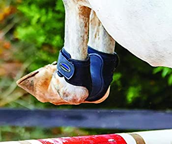 【中古】【輸入品・未使用】WeatherbeetaダイナミックFetlockブーツ 11,408円