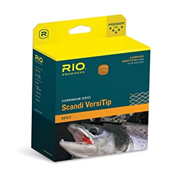 【中古】【輸入品・未使用】Rio : Scandi、VersiTip、# 10