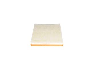 【中古】【輸入品・未使用】ACDelco A3172C Professional Air Filter