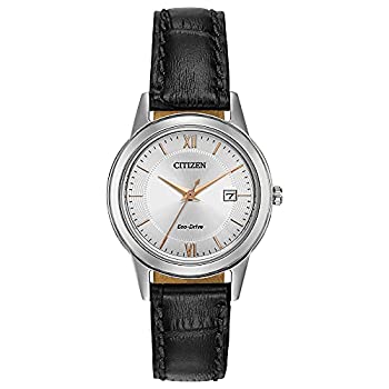 【中古】【輸入品・未使用】Citizen Women's FE1086-04A Eco-Drive Stainless Steel Watch with Black Leather Band 45,282円