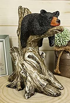【中古】【インポート品・未当て嵌める】Ebros Lazy Days of Summer 黒熊 木の枝に寝ている 自然状態毛の荒物の森 飾り気の無いな船室かざり付ける 熊の飾りつけ