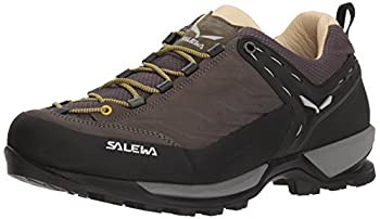 【中古】【インポート品・未当て嵌める】[サレワ] Salewa - MS Mtn Trainer L [並行輸入品] - 634697509 - Color: 緑であること - Size: 26.0