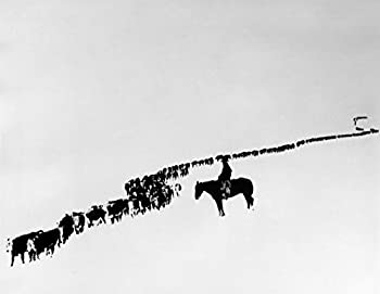 【中古】【インポート品・未当て嵌める】Wyoming Cattle C1920 ナトリウム Cowboy ドライビング 城郭建築 In A Blizzard In Wyoming 活動写真 Charles J Belden C1920 張り出し刷り上げる (18 x 24)