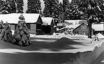 【中古】【輸入品・未使用】Almanor、カリフォルニア???の外部のビューPlumas Pines Cottages 36 x 54 Giclee Print LANT-11895-36x54｜スカイマーケットプラス