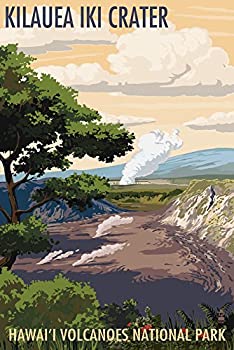 【中古】【輸入品・未使用】Kilauea Iki Crater、ハワイ火山国立公園 43222 (36x54 ジクレーギャラリープリント、壁の装飾トラベルポスター) 27,087円