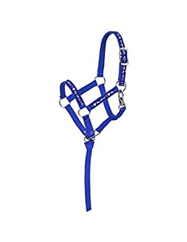 【中古】【インポート品・未当て嵌める】(Medium%ｶﾝﾏ% Blue/Royal) - Tough 1 Nylon %ﾀﾞﾌﾞﾙｸｫｰﾃ%I Love My Mini%ﾀﾞﾌﾞﾙｸｫｰﾃ% Miniature Halter