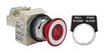 【中古】【輸入品・未使用】Schneider Electric押しボタン9001?kr9p35rh13?600-vac 10-amp 30?mm t-k電気ボックス
