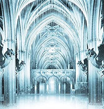 【中古】【インポート品・未当て嵌める】活動写真うしろ側落っこちる???Ice Palace With Gargoyles???10?x 10?フィート。シームレスな布切れ