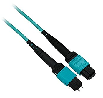 【中古】【輸入品・未使用】RiteAV???MTP 40?Gb 50?/ 125?om4マルチモード光ファイバケーブルプレナム( OFNP ) 12ファイバー???オスtoメスタイプB 20 Meter MTP5007