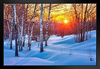 【中古】【輸入品・未使用】ポスター ファウンドリー 雪の枝 木 森 カラフル 冬 サンセット 写真 26x20 inches ブラック 287934
