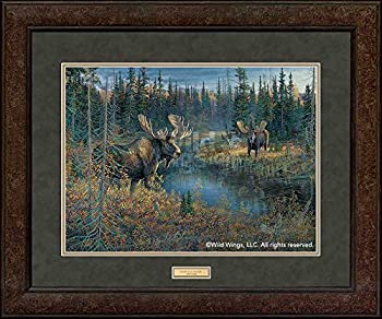【中古】【輸入品・未使用】Da Bulls???Moose GNAプレミアム+ Framed Print by Sam Timm|スカイマーケットプラス
