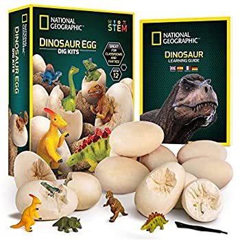 【中古】【輸入品・未使用】ナショナルジオグラフィック 恐竜ディグキット 恐竜の卵型ディグブロック 12個入り パーティーアクティビティ 掘削ツールセット 12個セット 男の