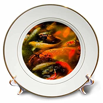 【中古】【輸入品・未使用】3dRose Danita Delimont - 魚 - オレンジの鯉の魚、遊戯王の庭、上海、中国 - プレート 8 inch Porcelain Plate cp_257100_1画像