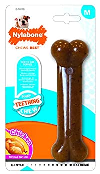 【中古】【インポート品・未当てはめる】犬用歯みがき手あそびナイラボーン デンタルダイナソー(ティラノザウルス) [並行輸入品]