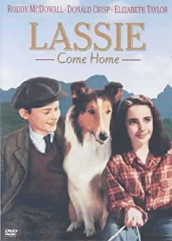【中古】【輸入品・未使用】LASSIE COME HOME|スカイマーケットプラス
