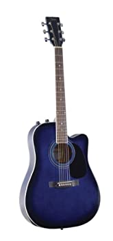 楽天市場】H.S.Anderson HS-A1 Custom Houston 新品 アップルギター