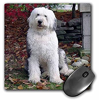 【中古】【輸入品・未使用】3Dローズ 犬 オールド イングリッシュ シープドッグ - オールド イングリッシュ シープドッグ - マウス パッド - マウスパッド - mp_1070_1 (並｜スカイマーケットプラス