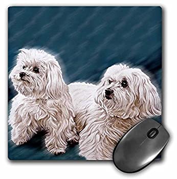 【中古】【インポート品・未当て嵌める】3Dサクラ色 犬 マルチーズ - マルチーズ - 二十日鼠 パッド - 二十日鼠パッド - mp_758_1 (並行輸入)