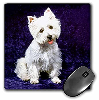 【中古】【輸入品・未使用】3Dローズ 犬 ウエスト ハイランド テリア ‐ ウェスティ - マウス パッド - マウスパッド - mp_608_1 (並行輸入)｜スカイマーケットプラス