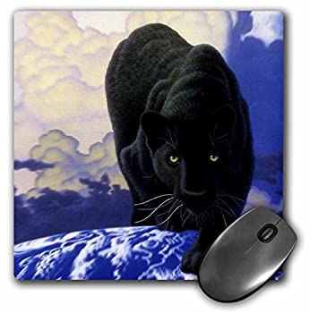 【SALE／91%OFF】 日本人気超絶の 3Dローズ 野生動物 ‐ ブラックパンサー - マウス パッド マウスパッド mp_739_1 並行輸入 fucoa.cl fucoa.cl