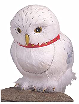 楽天市場】【中古】【輸入品・未使用】ハリーポッター ウィザー