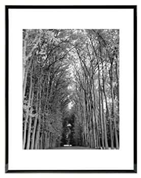 【中古】【輸入品・未使用】MCS Industries Black Gallery Wood Wall Frame%ｶﾝﾏ% 11 by 14-Inch by MCS [並行輸入品]